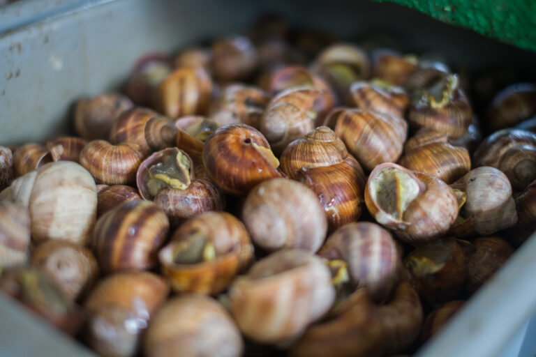 © Simon Daval - Périples & Cie