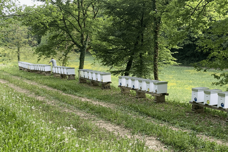 Les Miels de Franche-Comté