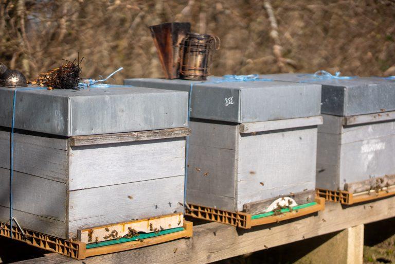 Miels de Franche-Comté sur la Route des Savoir-Faire 2026 - Photo SIMON DAVAL / PERIPLES ET CIE