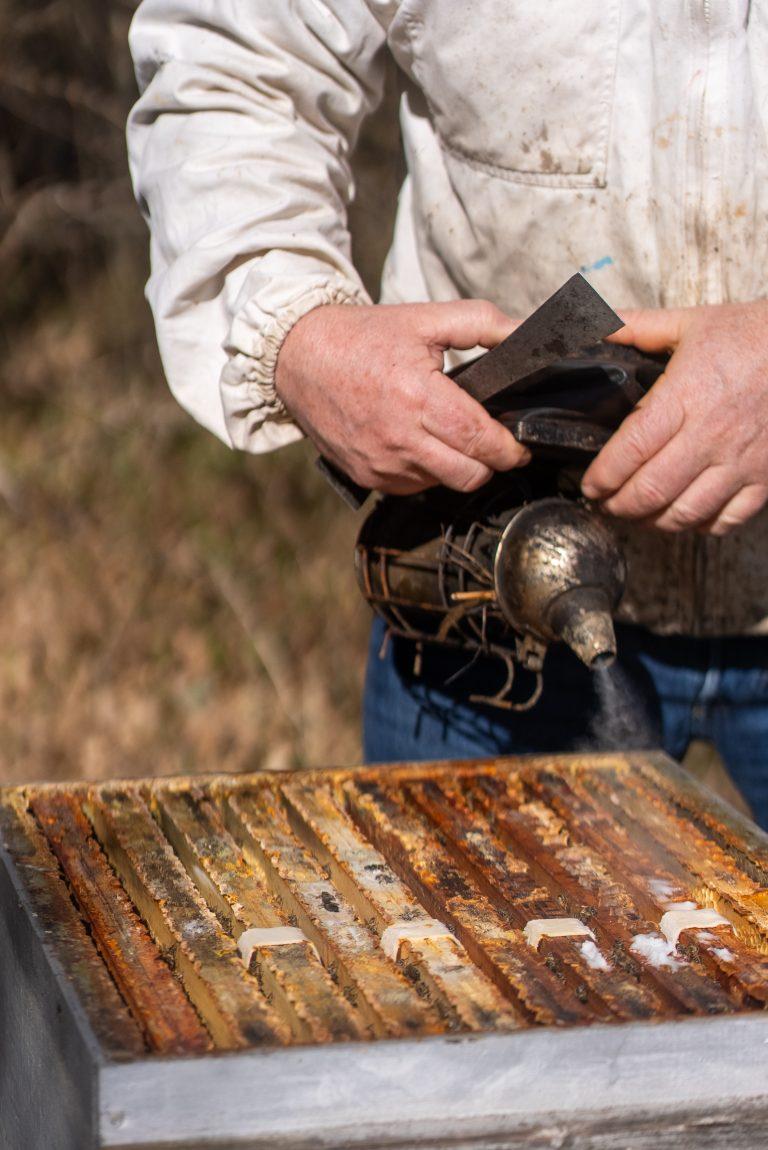 Miels de Franche-Comté sur la Route des Savoir-Faire 2026 - Photo SIMON DAVAL / PERIPLES ET CIE