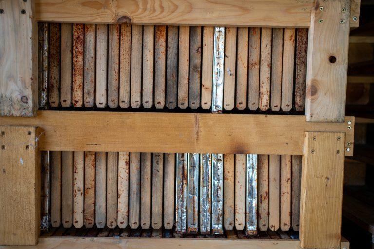 Miels de Franche-Comté sur la Route des Savoir-Faire 2026 - Photo SIMON DAVAL / PERIPLES ET CIE