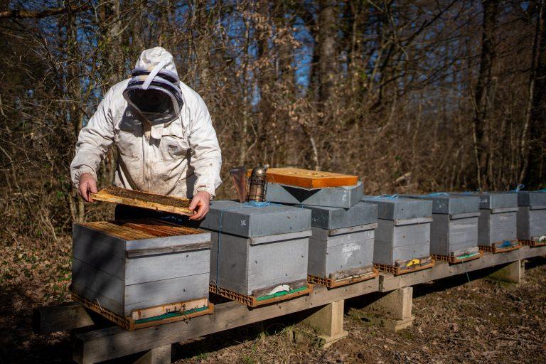 Miels de Franche-Comté sur la Route des Savoir-Faire 2026 - Photo SIMON DAVAL / PERIPLES ET CIE