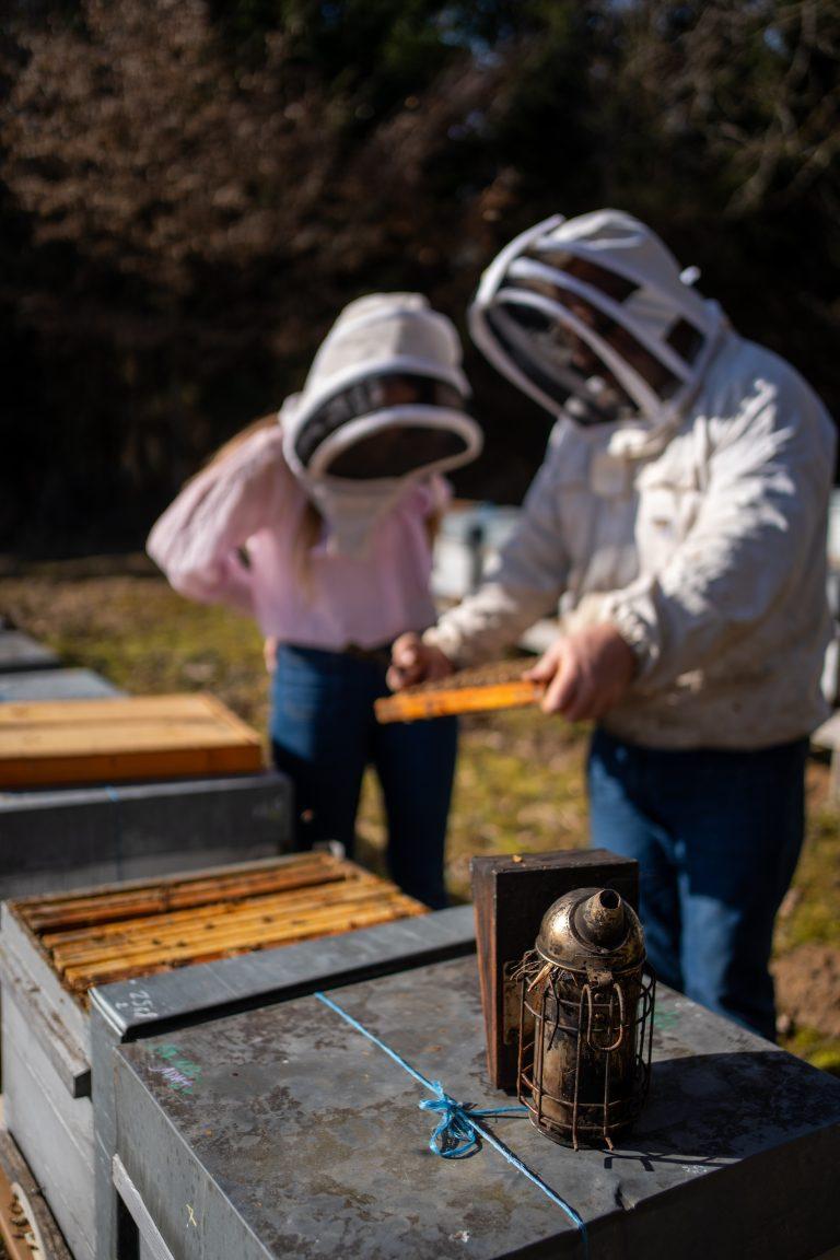 Miels de Franche-Comté sur la Route des Savoir-Faire 2026 - Photo SIMON DAVAL / PERIPLES ET CIE