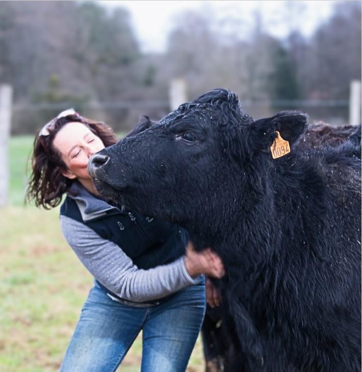 ©Les Angus du Chaufour