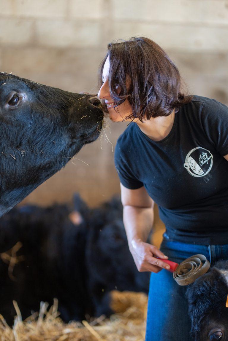 Les Angus du Chaufour, sur la Route des Savoir Faire 2026 - Photo SIMON DAVAL / PERIPLES ET CIE
