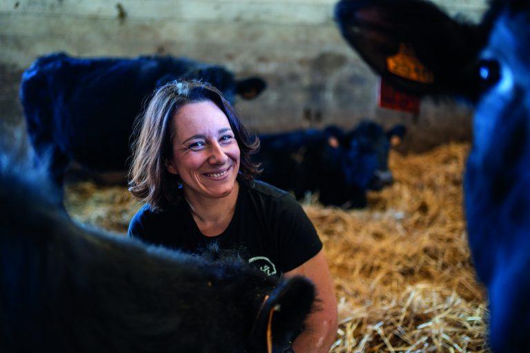 Les Angus du Chaufour, sur la Route des Savoir Faire 2026 - Photo SIMON DAVAL / PERIPLES ET CIE