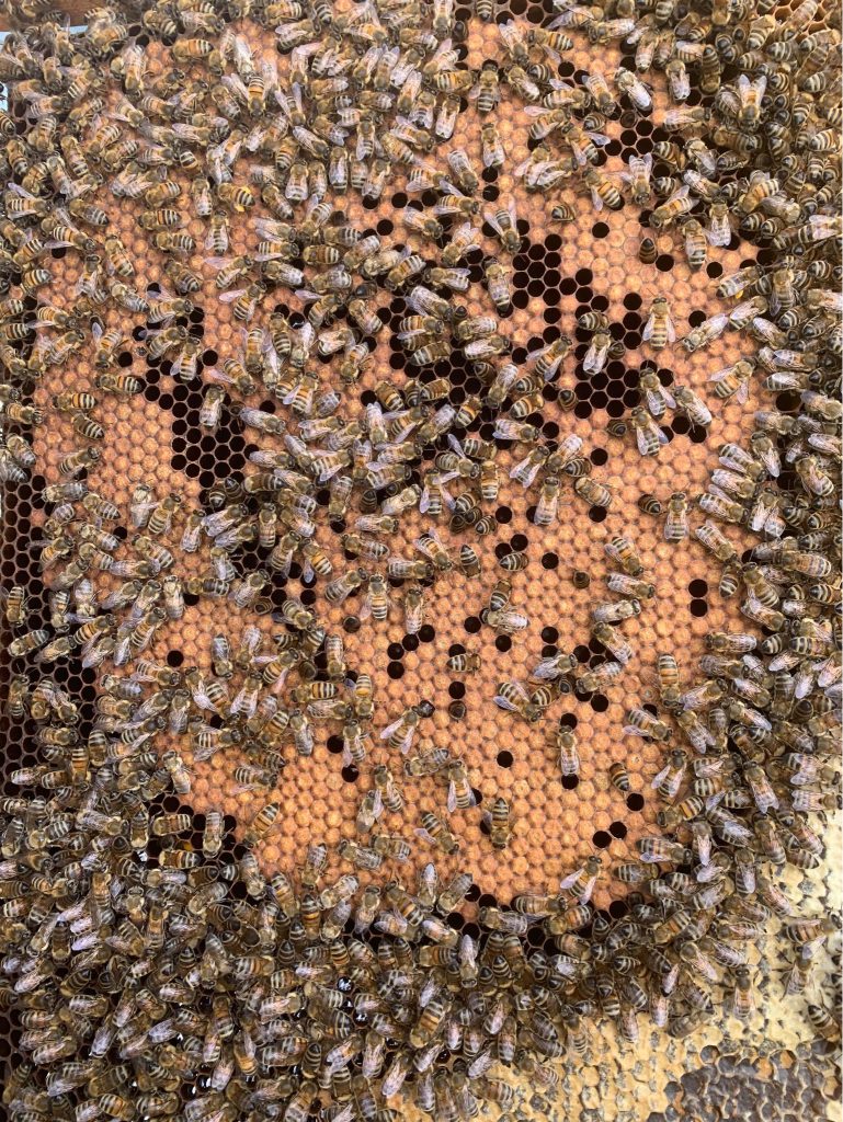 Miels de Franche-Comté