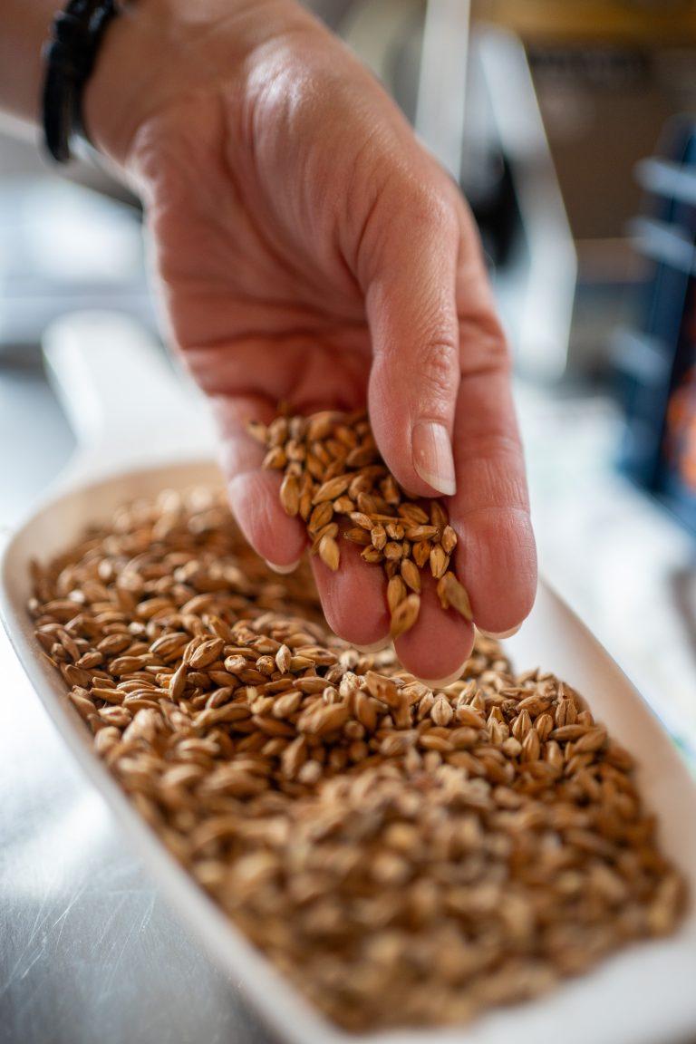 Brasserie Cuvée des Mimi's à Fesches-le-Châtel sur la Route des Savoir-Faire 2026 - Photo SIMON DAVAL / PERIPLES ET CIE